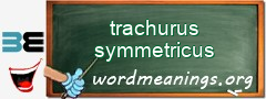 WordMeaning blackboard for trachurus symmetricus